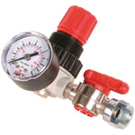 SIP 02070 1/4" Micro Side Regulator