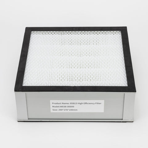 SIP WE08-00099  High Efficiency Filter (for 05813)