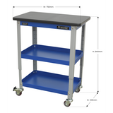 Sealey API2103 Industrial Workshop Trolley 3-Level